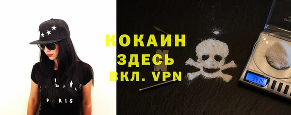 не бодяженный Алексин