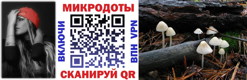 Галлюциногенные грибы GOLDEN TEACHER  хочу   Курлово 
