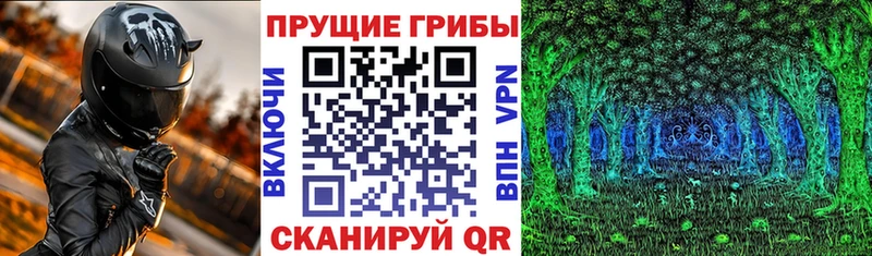 Псилоцибиновые грибы GOLDEN TEACHER Курлово