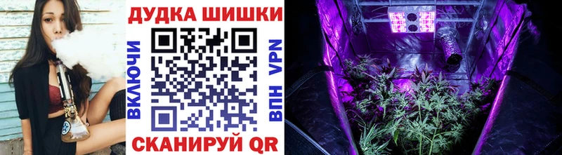 Конопля THC 21%  как найти закладки  Курлово 